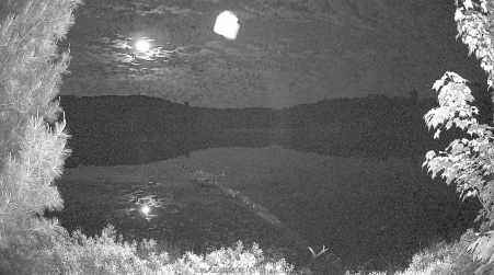 Image from 2025-06-12