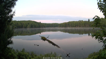 Image from 2025-06-12