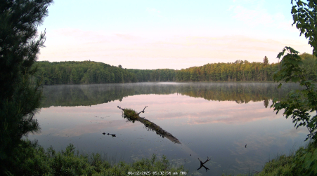 Image from 2025-06-12
