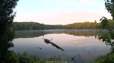 Image from 2025-06-12