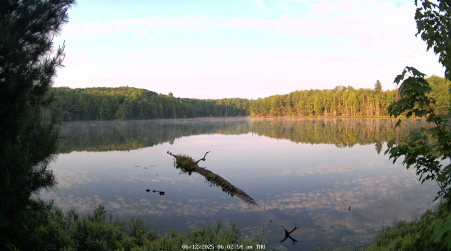 Image from 2025-06-12