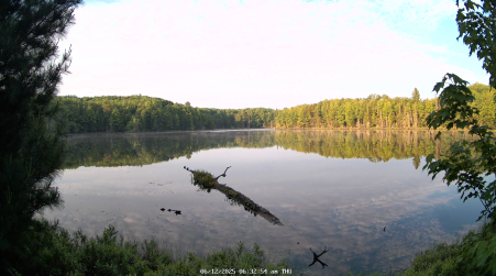 Image from 2025-06-12