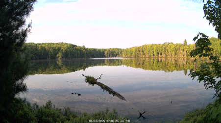 Image from 2025-06-12