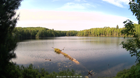Image from 2025-06-12
