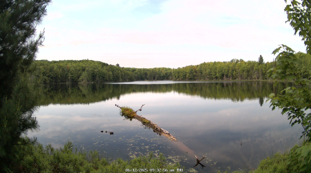 Image from 2025-06-12