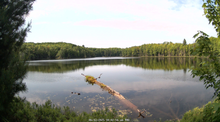 Image from 2025-06-12