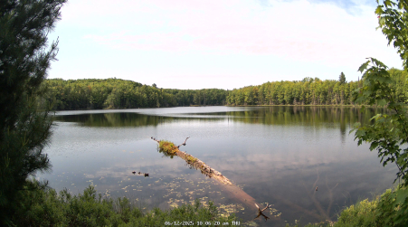 Image from 2025-06-12