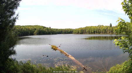 Image from 2025-06-12
