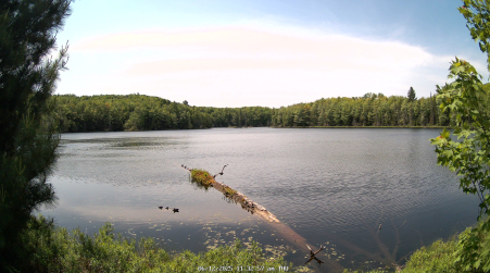 Image from 2025-06-12