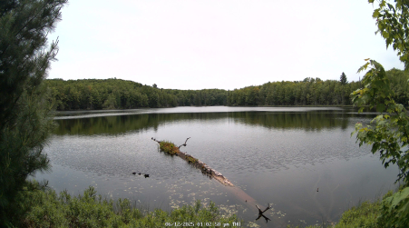 Image from 2025-06-12