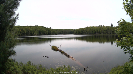 Image from 2025-06-12