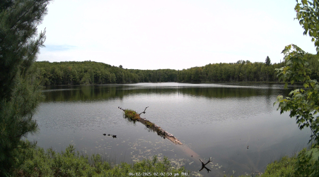 Image from 2025-06-12