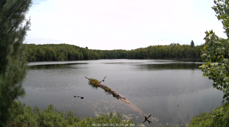 Image from 2025-06-12