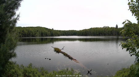Image from 2025-06-12