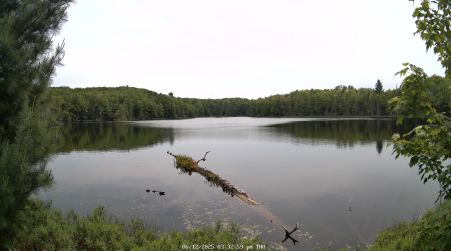 Image from 2025-06-12