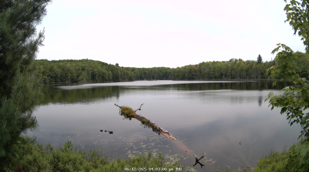 Image from 2025-06-12