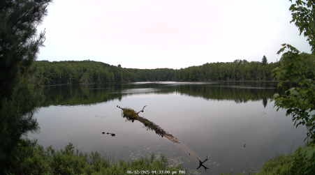 Image from 2025-06-12
