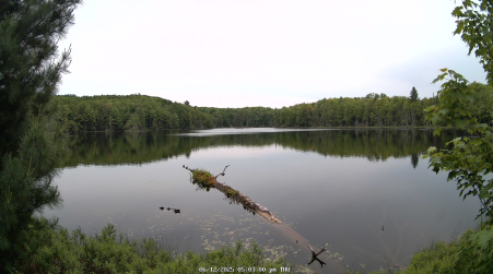Image from 2025-06-12