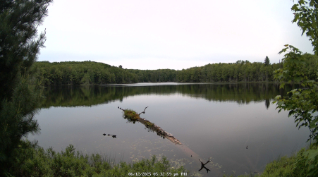 Image from 2025-06-12