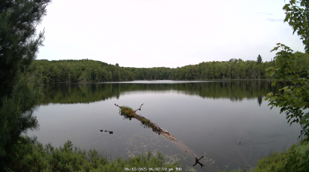 Image from 2025-06-12