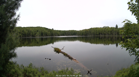 Image from 2025-06-12
