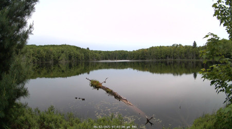 Image from 2025-06-12