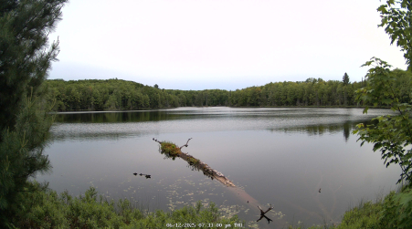 Image from 2025-06-12