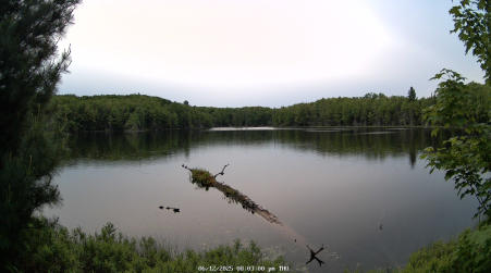 Image from 2025-06-12