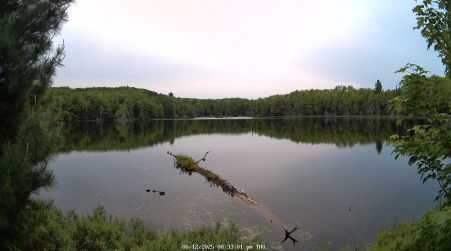 Image from 2025-06-12