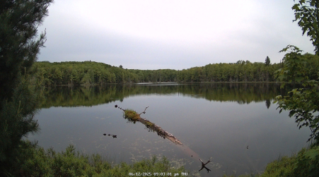 Image from 2025-06-12