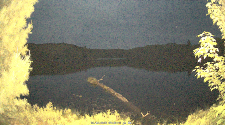 Image from 2025-06-12