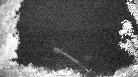 Image from 2025-06-13