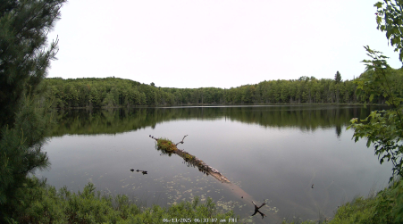 Image from 2025-06-13