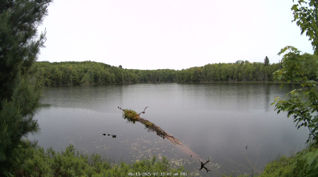 Image from 2025-06-13