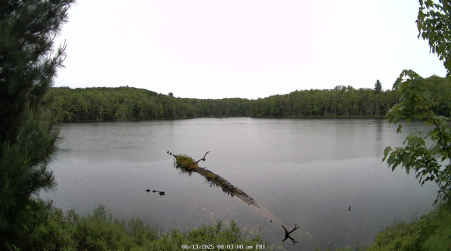Image from 2025-06-13
