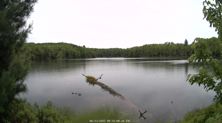 Image from 2025-06-13