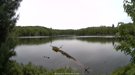 Image from 2025-06-13