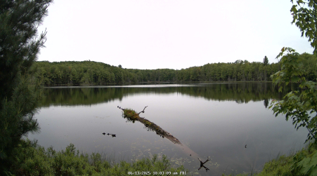 Image from 2025-06-13