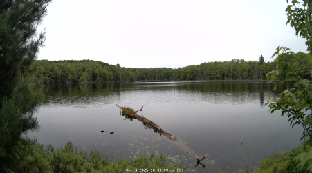 Image from 2025-06-13