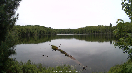 Image from 2025-06-13