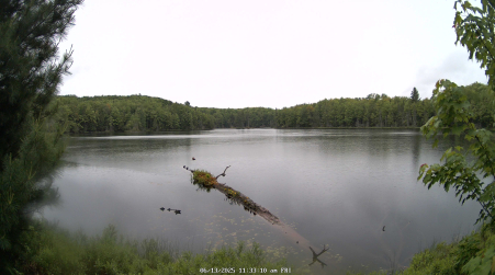 Image from 2025-06-13