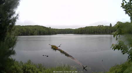 Image from 2025-06-13