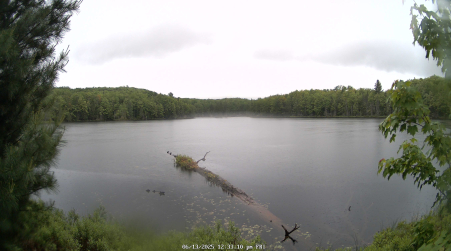 Image from 2025-06-13