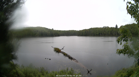 Image from 2025-06-13