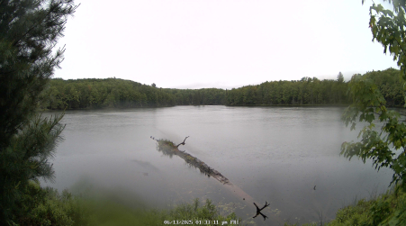 Image from 2025-06-13