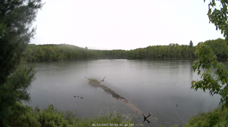 Image from 2025-06-13