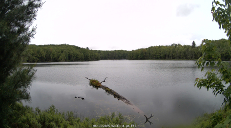 Image from 2025-06-13