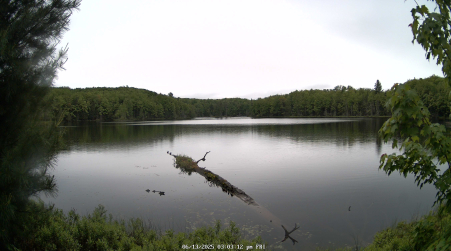Image from 2025-06-13