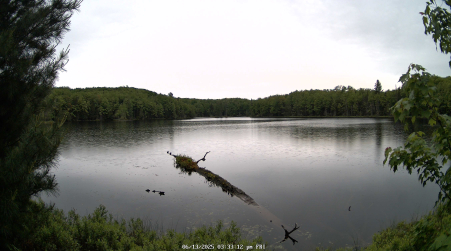 Image from 2025-06-13