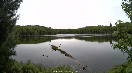 Image from 2025-06-13
